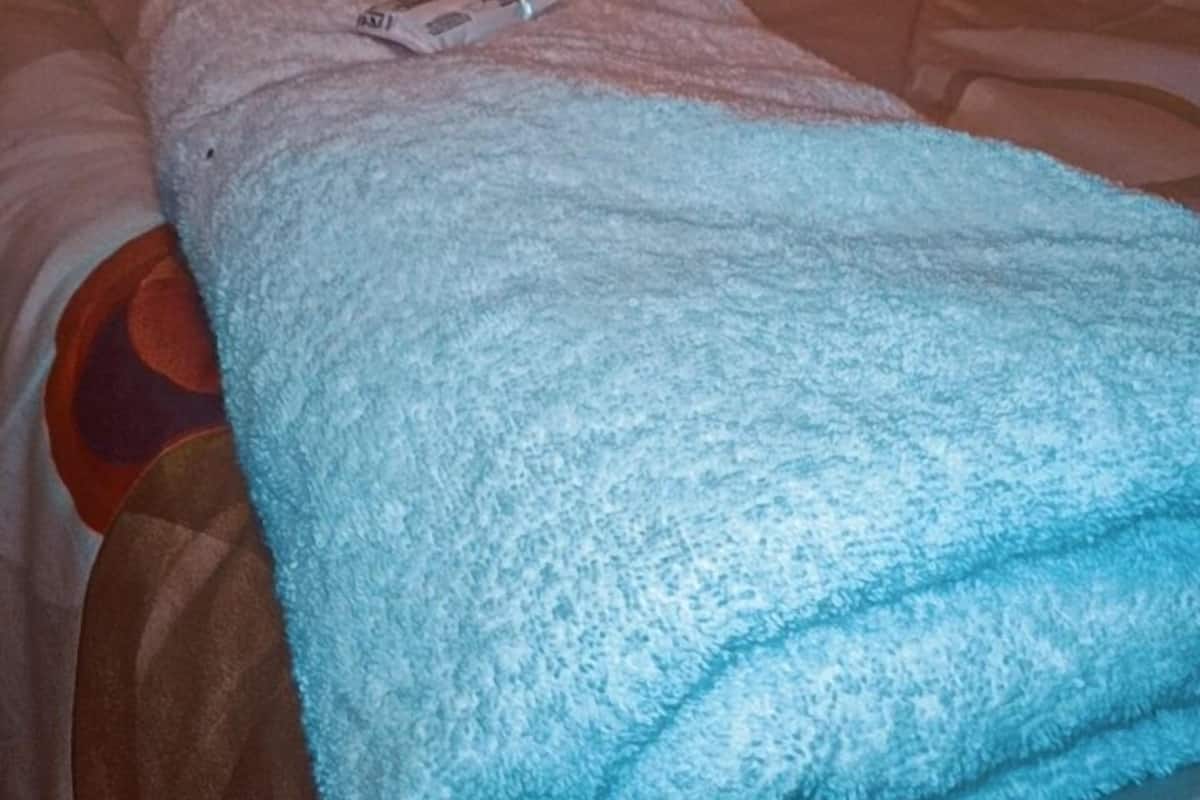 A bed with a blue blanket, a pillow, and a small object on the bed.