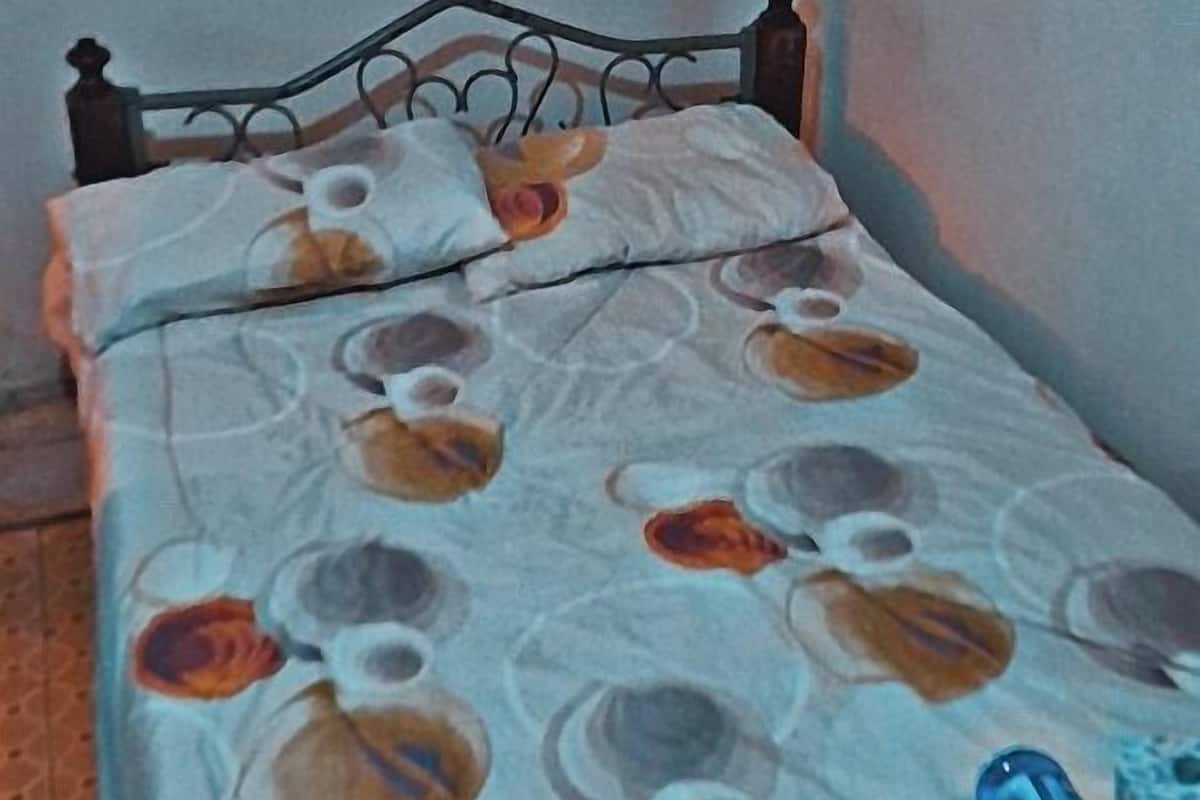 A small, single-bed room with a metal headboard, a patterned bedspread, and a blue object on the bed.