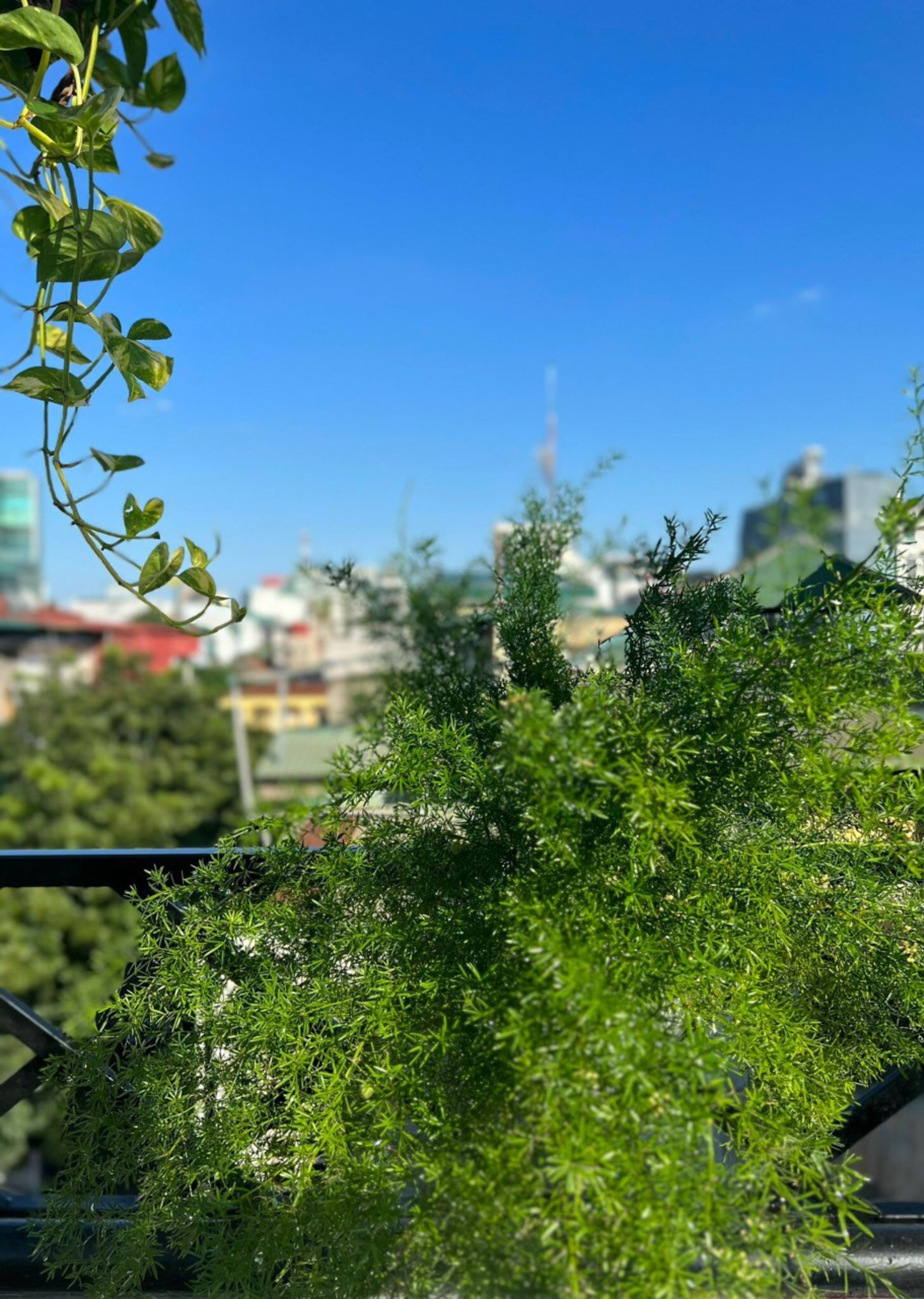 Foto - Lanha Hotel - Homestay