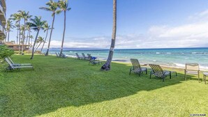 A grassy area with lounge chairs and a palm tree, overlooking the ocean.