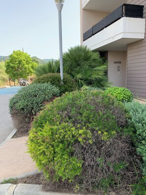 Property grounds - Charmant Appartement, Parfait Pour un Couple ! (Ajaccio)