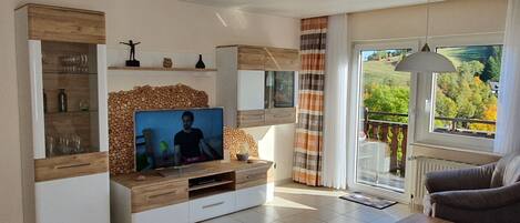 电视、DVD 播放器、立体声音响