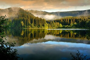 A calm lake with forested hills in the background. - Apartment No. 4: Spacious Ground-Floor Apartment with 2 Bedrooms, Wi-Fi & EV Charging Station (Altenau)