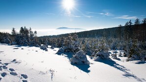 A snowy landscape with trees and a mountain in the distance. - Apartment No. 2: Brand-New Flat in Altenau – Near Spa, Prime Location with Sauna, Wi-Fi & EV Charging (Altenau)