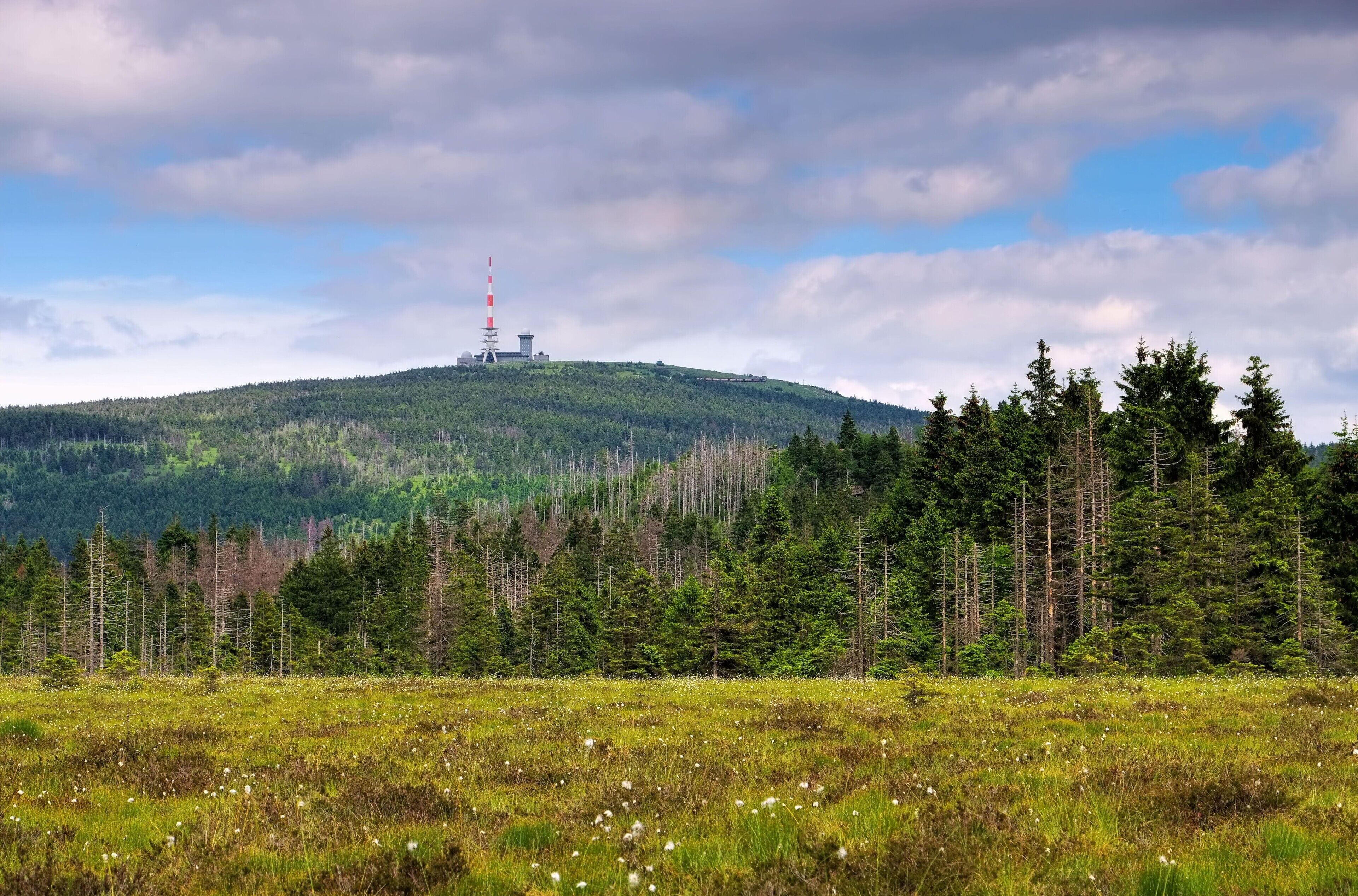 A mountainous landscape with a forested area and a tower structure on a hill.