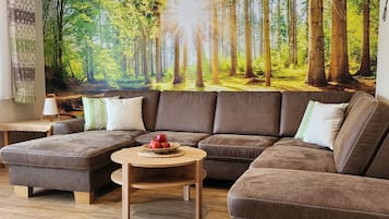 Fernseher, DVD-Player, Stereoanlage