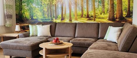 TV, DVD player, stereo