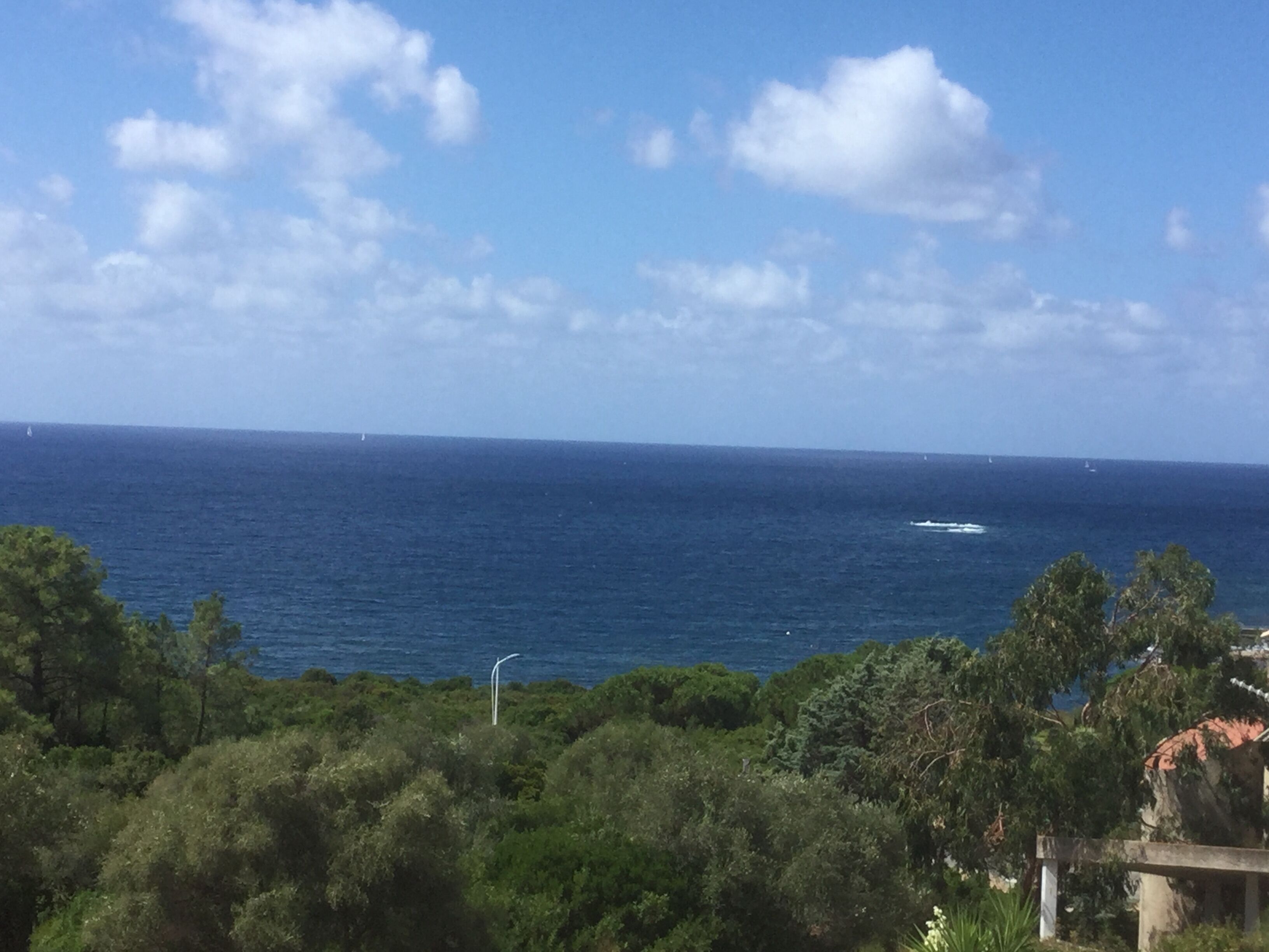 Un paysage côtier avec vue sur la mer, une végétation luxuriante et un voilier à l’horizon.