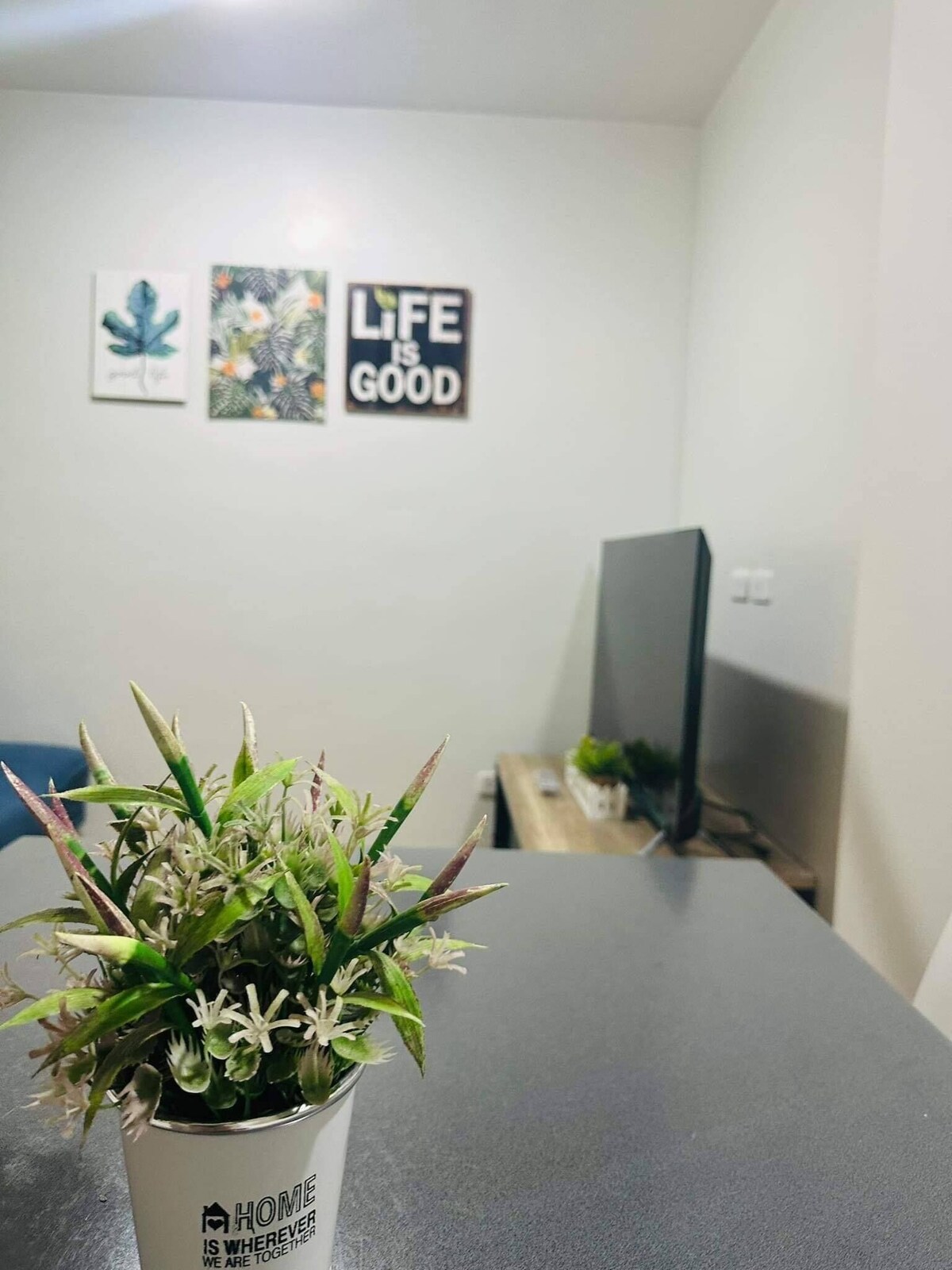 Imagen de perfil del propietario o de la propietaria