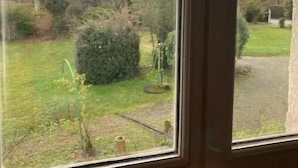 Blick aus einem Fenster mit einer Holztür und einem Garten mit Bäumen und einem Heckenstreifen.