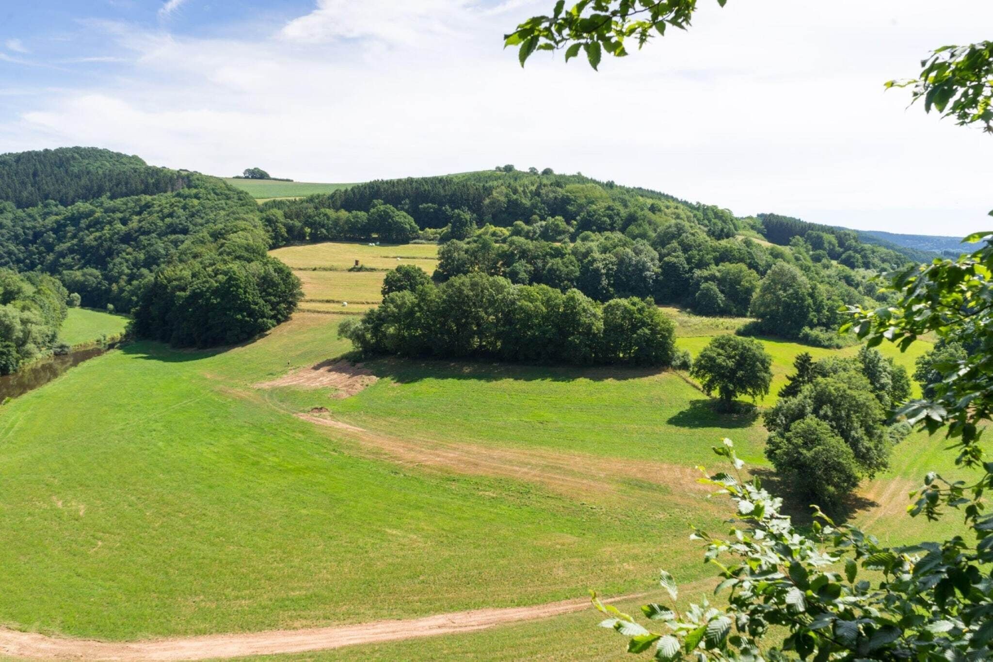 Une vue panoramique d’une vallée verdoyante, avec des collines ondoyantes et des arbres dispersés.