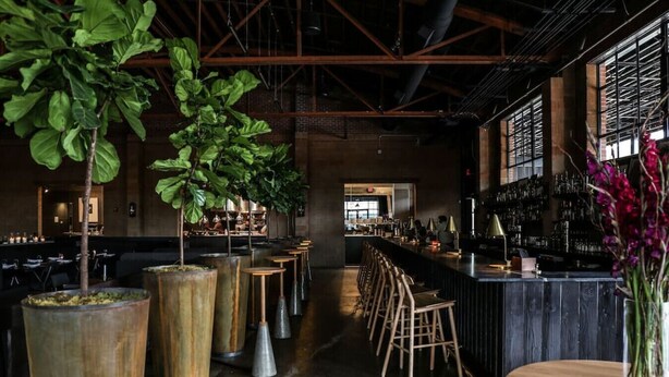 A bar area with high stools, potted plants, and a bar counter.