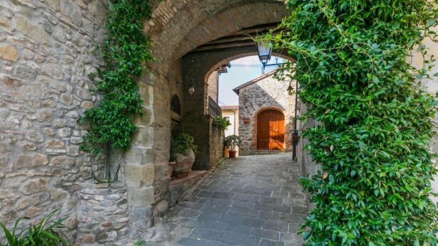 Un camino de piedra lleva a una construcción rústica con una entrada arqueada, rodeada de abundante vegetación y plantas en macetas.