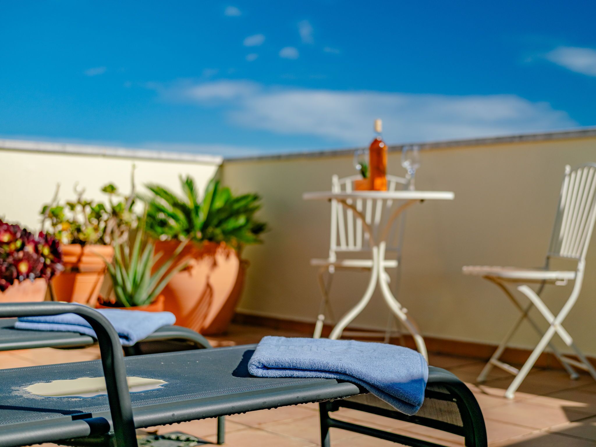 Ein sonniger Außenbereich mit Lounge-Möbeln und Tisch, umgeben von Topfpflanzen.
