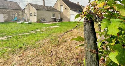 Gßte avec grand jardin, vélos, animaux acceptés, ménage inclus et Wi-Fi à Restigné