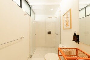 Ducha, secador de pelo y toallas