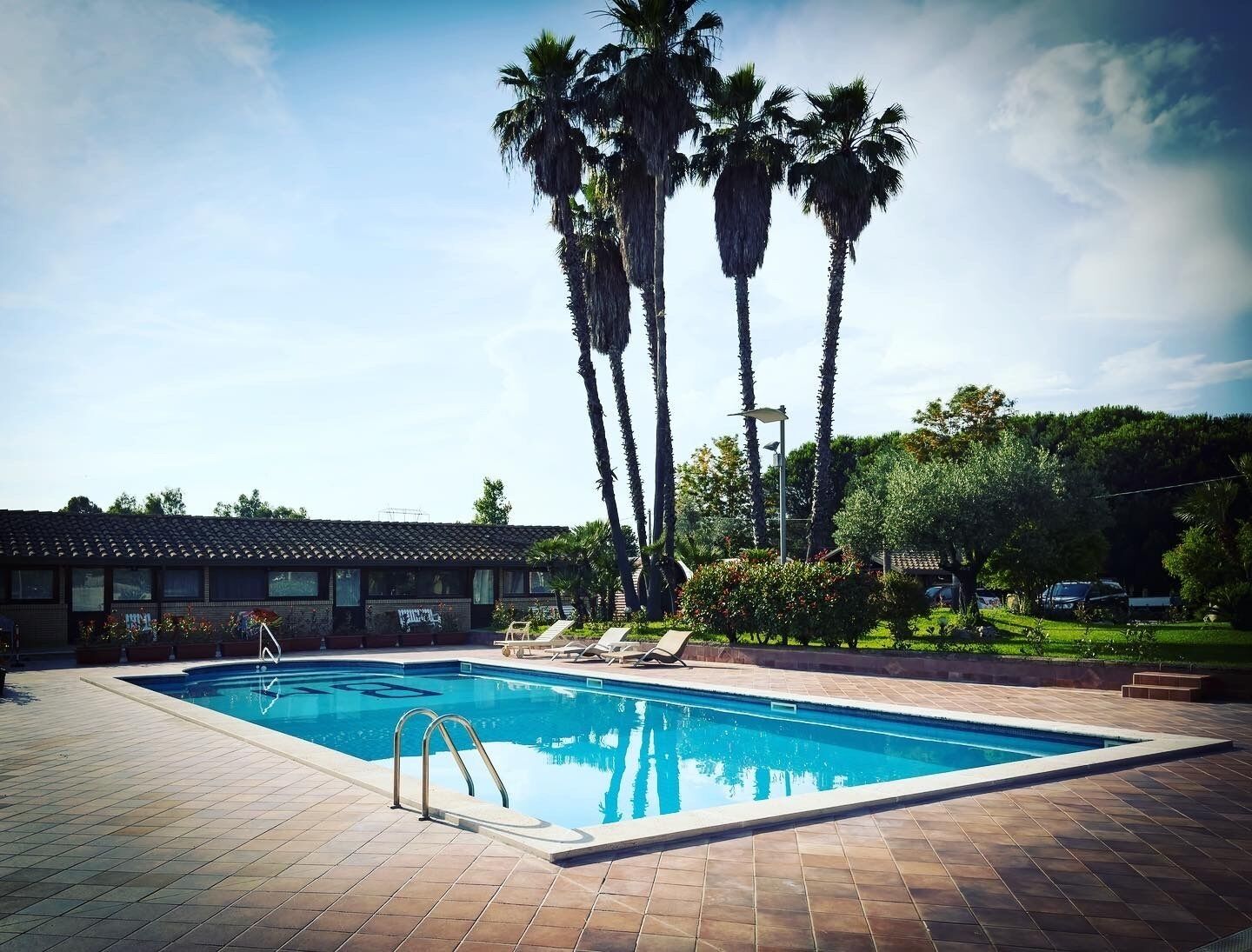 A swimming pool with a tiled deck, surrounded by palm trees and a building with a tiled roof.