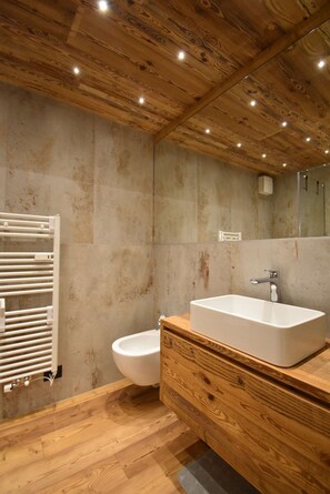 Shower, hair dryer, bidet, towels