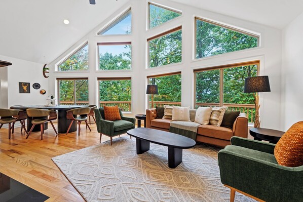 TV, lareira, videogames, aparelho de som