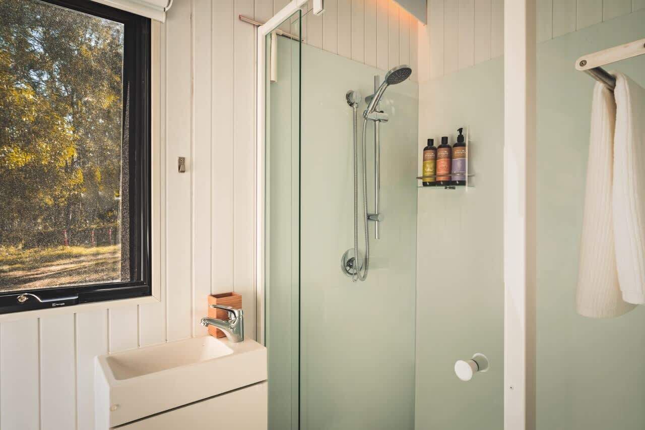 Shower, hair dryer, towels, shampoo