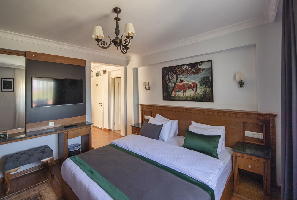 Deluxe One Bedroom Double Apartment, Sultanahmet, Old city Istanbul