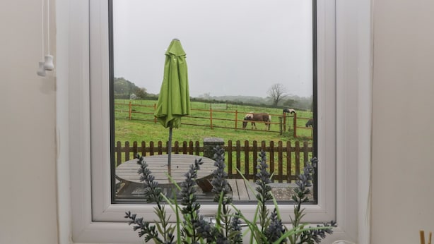 On aperçoit, à travers une fenêtre, un parapluie vert, une table en bois et un pré clôturé où paissent des vaches.