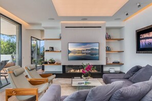 TV, fireplace, video games, books