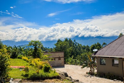 Apuuli Safaris & Cottages