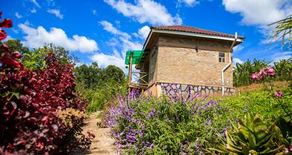 Apuuli Safaris & Cottages