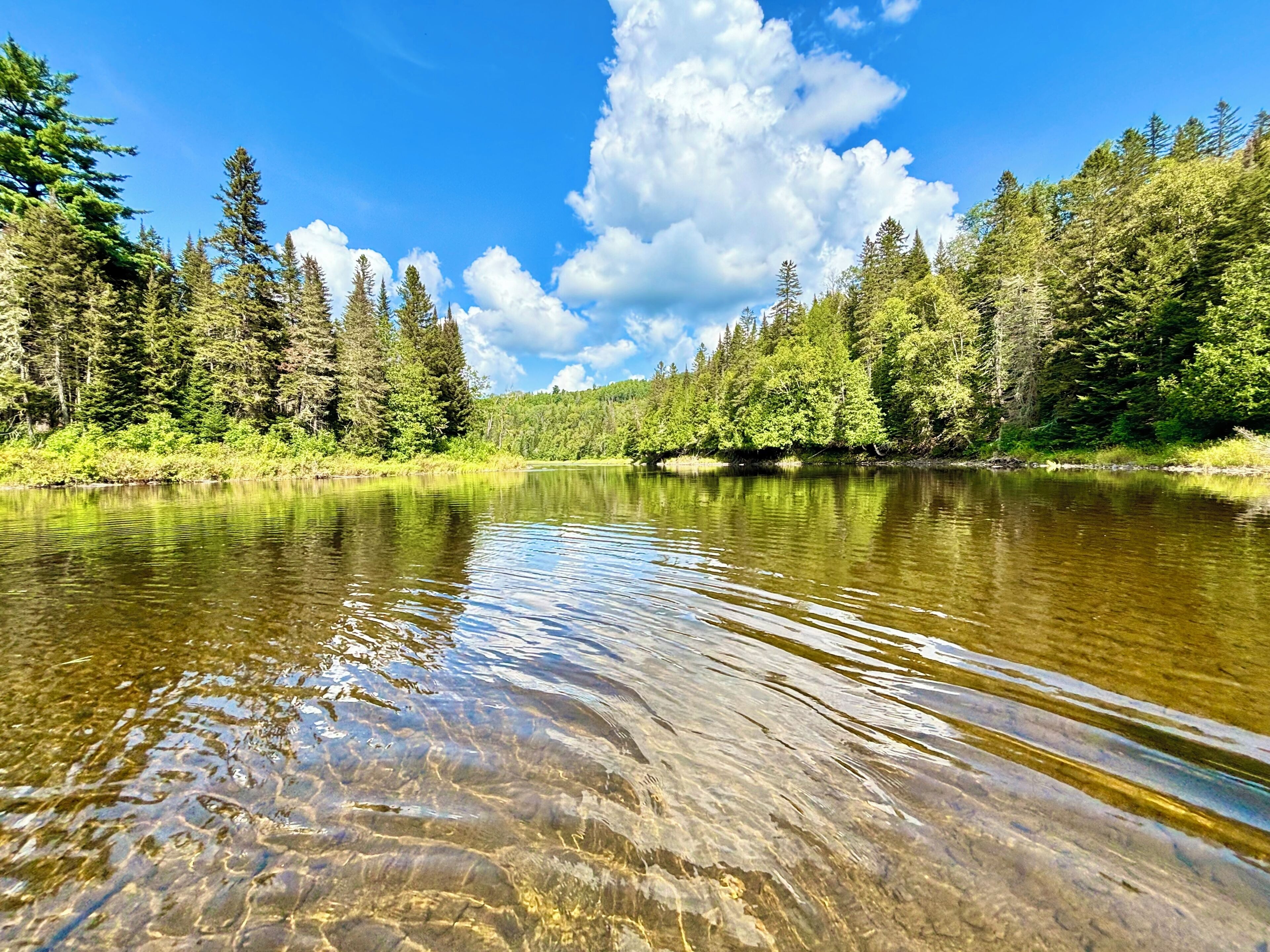 3 bedrooms, travel crib, free WiFi, bed sheets