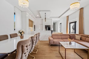 TV, fireplace, video-game console, table tennis
