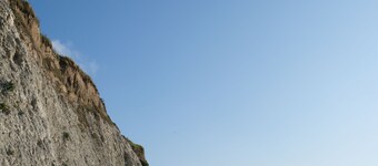 Gentlemen : comfortable appartment at 80 meters of the beach