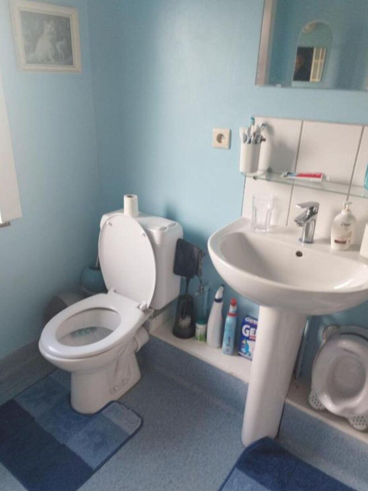 Bild für Gastgeberprofil