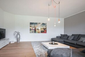 TV connectée, cheminée, lecteur de DVD