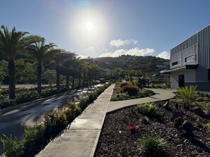 Property grounds -  Luxury Waterfront Villa 249C South Beach (Jolly Harbour)