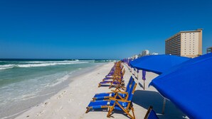 Une plage bordée de rangées de chaises de plage et de parasols bleus, un rivage sablonneux et un bâtiment en arrière-plan.