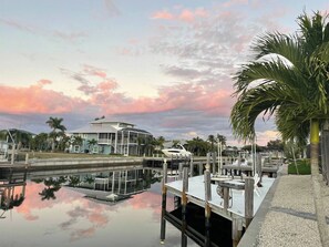 A marina with a dock, a house, and palm trees.