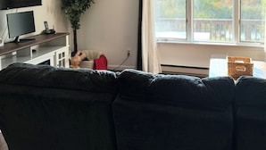 A living room with a large window, a flat-screen TV, a plant, and a sofa.