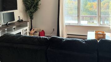 Smart TV, fireplace, books