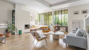 TV, fireplace, books