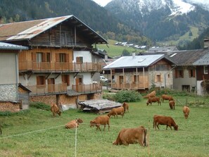 Exterior - 100m from resort center, parking, television, 30m², Arêches-Beaufort (Beaufort)