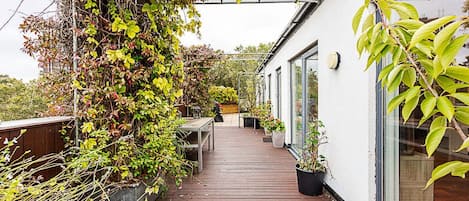 Terraza o patio