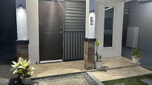 A modern building entrance with a closed metal door, a potted plant, and a small window. - Private townhouse, located in a private subdivision with guards on site.  (San Pablo City)