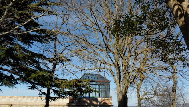 Un edificio con estructura de vidrio rodeado de árboles.