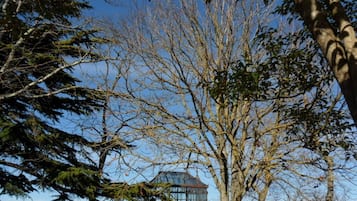 Um edifício com estrutura de vidro cercado por árvores.