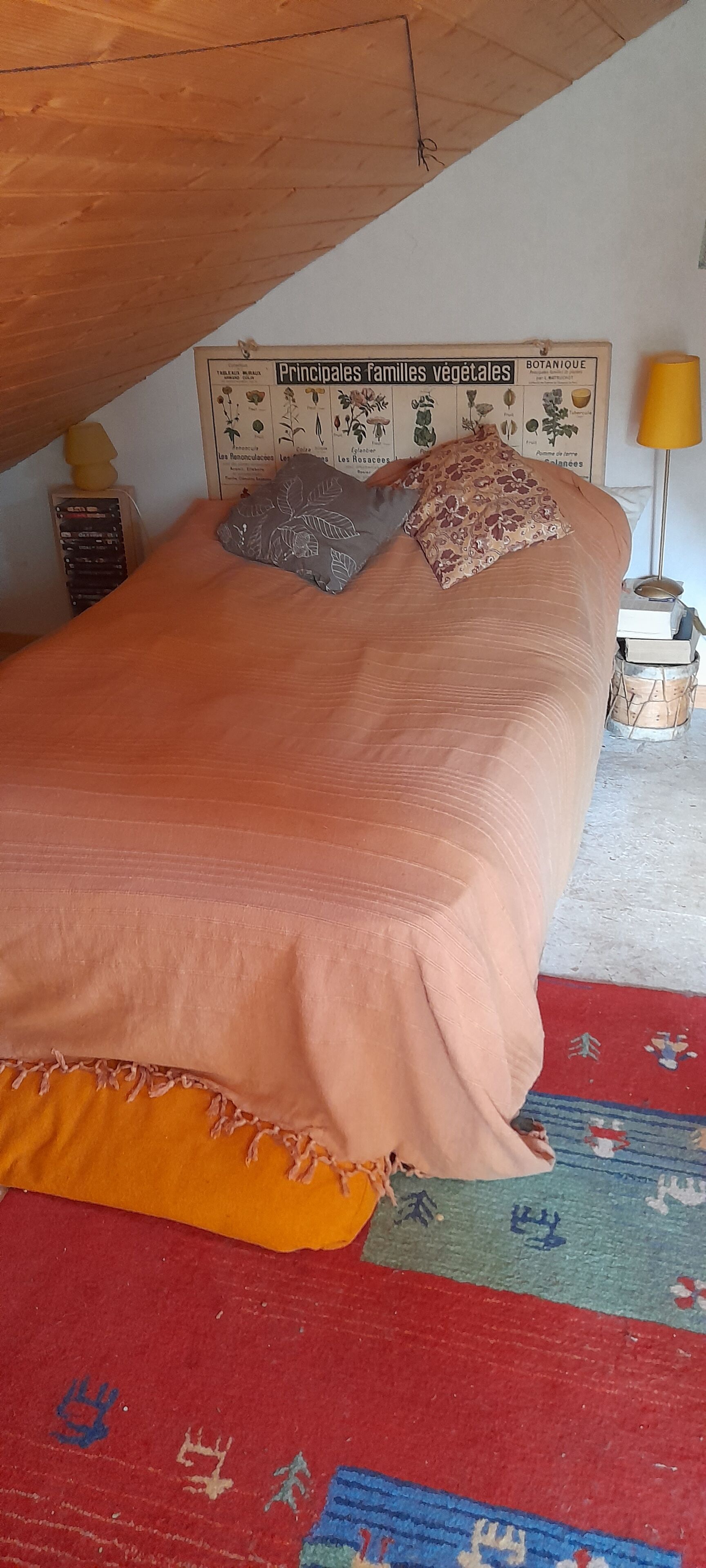 Uma cama com colcha cor de pêssego e duas almofadas, cabeceira de madeira, um diagrama botânico na parede e uma luminária em uma mesinha de cabeceira.