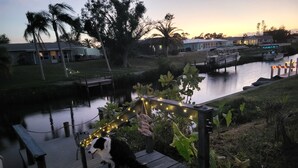 Een houten steiger met een hond, omringd door water, palmbomen en een huis op de achtergrond.