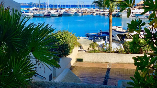 Un puerto deportivo con barcos amarrados, rodeado de follaje y edificios.