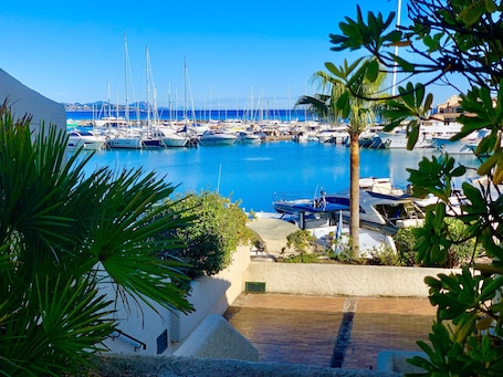 Vista desde la habitación