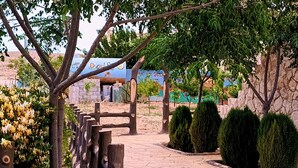 A paved pathway with a wooden fence, neatly trimmed bushes, and a stone wall. - Petra dad farm (Shamakh)